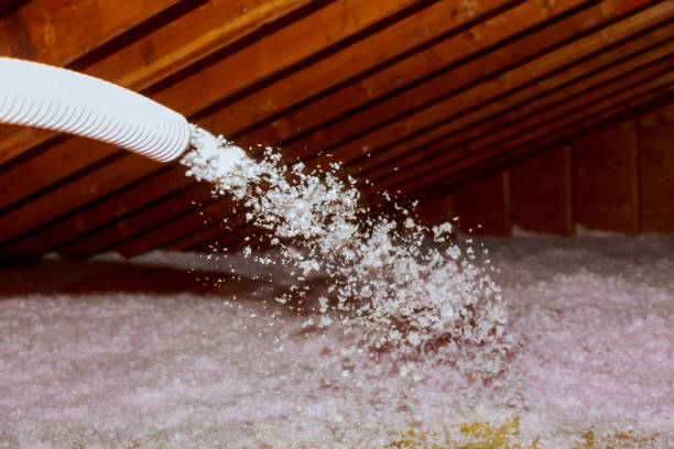 Best Insulation Maintenance and Repair in St Lawrence, PA