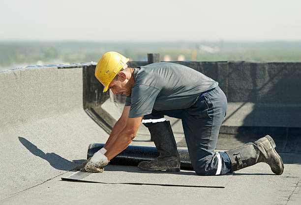 Best Insulation Maintenance and Repair in St Lawrence, PA